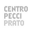 SCHNITT - Marco Monardini - Amelie Duchow MEMORY CODE_centro arte contemporanea pecci_2017